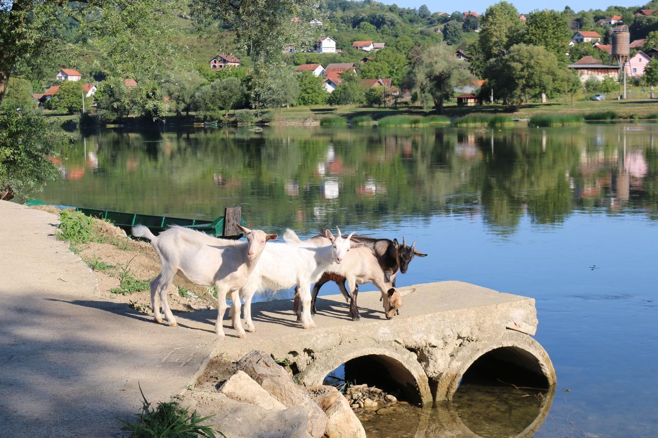 Holiday Homes Piralo Kostajnica Zewnętrze zdjęcie
